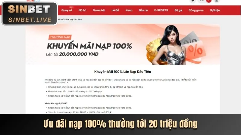 Cam kết của winvn.11